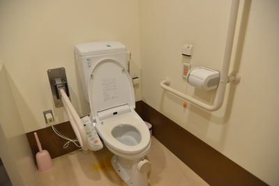 20151130-toilet.jpg